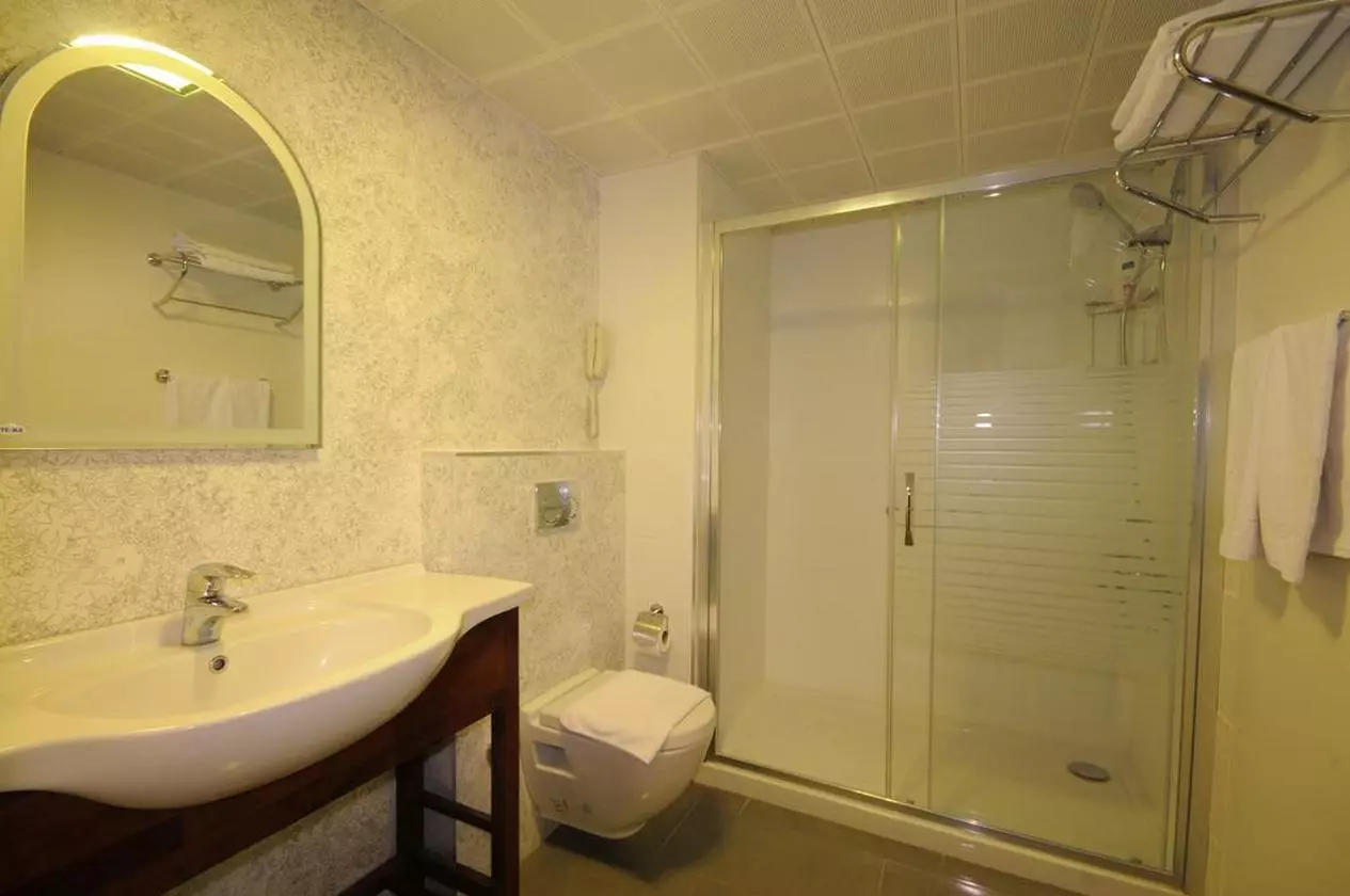 PASAGARDEN_SHABAVIZ (4).jpg